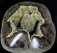 Crystal Filled Septarian Geode - Utah #33095-1